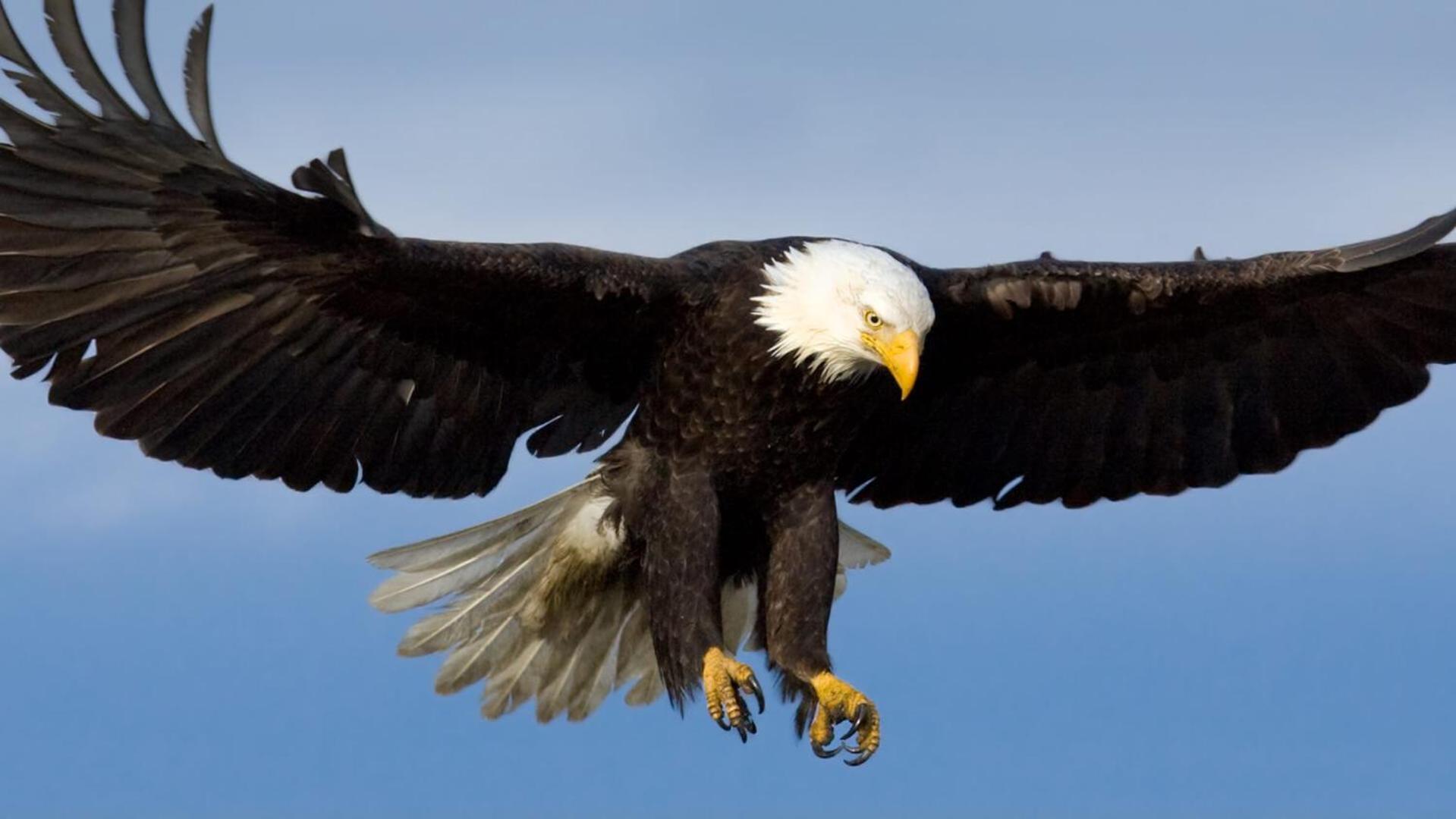 Eagles Land Apartment Edinburgh Luaran gambar